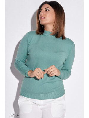 Водолазка с воротом-стойкой