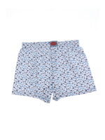 Трусы мужские бело-голубые