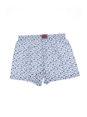 Трусы мужские бело-голубые