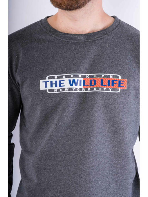 Свитшот — изображение 5