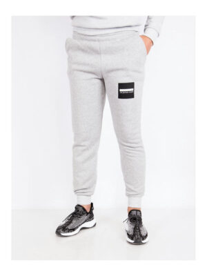 Брюки спортивные мужские светло-серые на флисе