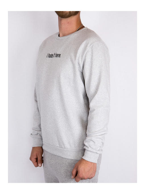 Свитшот мужской светло-серый на флисе — изображение 2