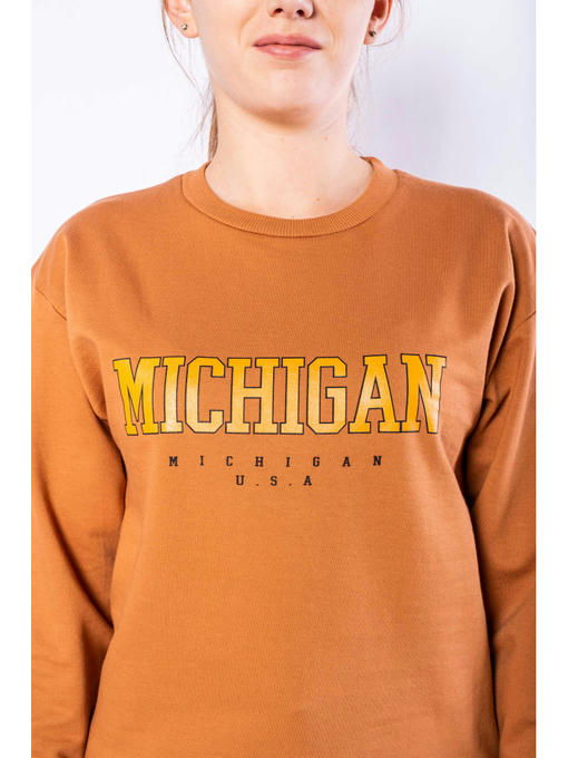 Свитшот женский — изображение 10