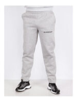 Брюки спортивные мужские светло-серые на флисе