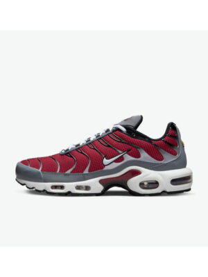 Кроссовки мужские Nike Air Max Plus (DQ3983-600)
