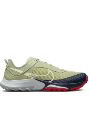 Кроссовки мужские Nike Air Zoom Terra Kiger 8 (DH0649-300)