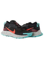 Кроссовки мужские Nike Pegasus Trail 3 Gore-Tex (DC8793-002)