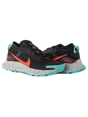 Кроссовки мужские Nike Pegasus Trail 3 Gore-Tex (DC8793-002)