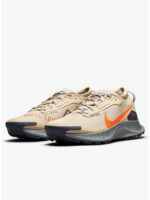 Кроссовки мужские Nike Pegasus Trail 3 Gore-Tex (DC8793-200)