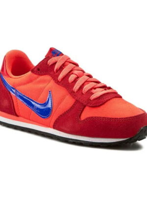 Кроссовки женские Nike Genicco (644451-646)