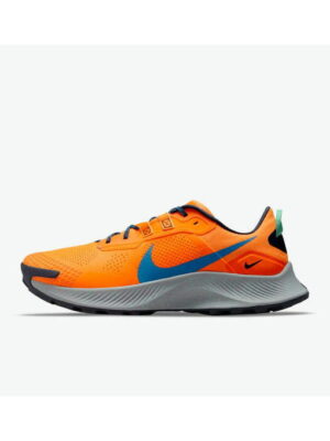 Кроссовки мужские Nike Pegasus Trail 3 (DA8697-800)