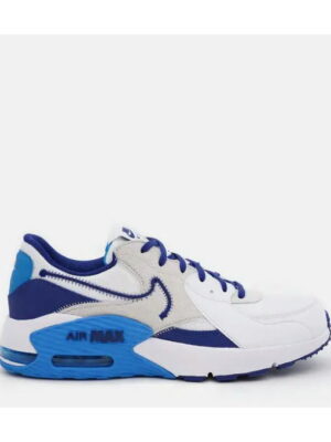 Кроссовки мужские Nike Air Max Excee (DZ0795-100)