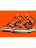 Кроссовки мужские Nike Dunk High Chenille Swoosh (DR8805-002)