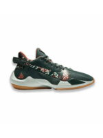 Кроссовки мужские Nike Freak 2 Ashiko (DC9854-300)