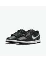Кроссовки женские Nike Dunk Low Gs (DC9560-001)