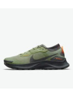 Кроссовки женские Nike Pegasus Trail 3 Gtx (DO6728-300)
