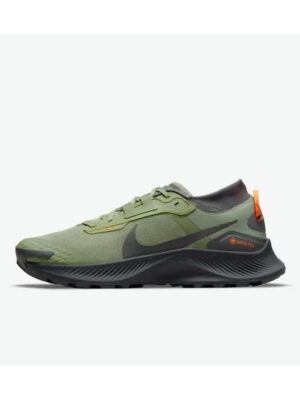 Кроссовки женские Nike Pegasus Trail 3 Gtx (DO6728-300)