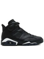 Кроссовки мужские Jordan 6 Retro (384664-020)