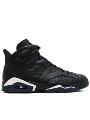 Кроссовки мужские Jordan 6 Retro (384664-020)