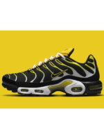 Кроссовки мужские Nike Air Max Plus (DQ3983-001)