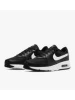 Кроссовки мужские Nike Air Max Sc (CW4555-002)