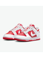 Кроссовки мужские Nike Dunk Low Retro (DD1391-600)