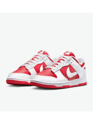 Кроссовки мужские Nike Dunk Low Retro (DD1391-600)