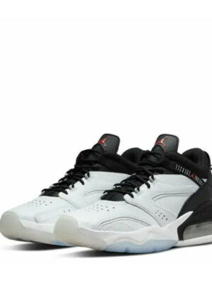 Кроссовки мужские Jordan Point Lane Asw (DR0293-001)