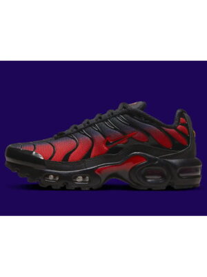 Кроссовки мужские Nike Air Max Plus (FB8024-600)