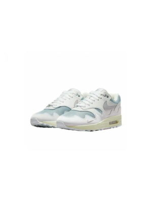 Кроссовки мужские Nike Air Max 1 Patta (DQ0299-100)