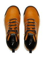 Кроссовки мужские Puma Tarrenz Sb Ii (386392_02)