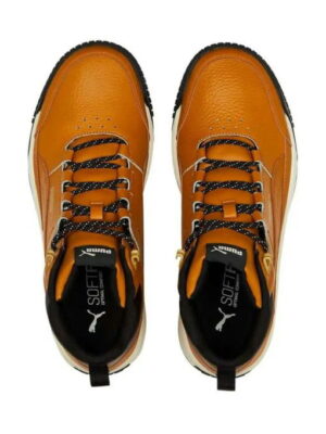 Кроссовки мужские Puma Tarrenz Sb Ii (386392_02)