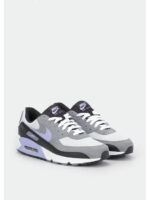 Кроссовки мужские Nike Air Max 90 (DM0029-014)