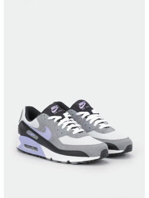 Кроссовки мужские Nike Air Max 90 (DM0029-014)