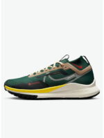 Кроссовки мужские Nike React Pegasus Trail 4 Gtx (FD0317-333)