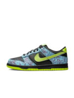 Кроссовки женские Nike Dunk Low Gs “Acid Wash” (DV1694-900)