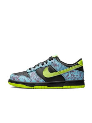Кроссовки женские Nike Dunk Low Gs “Acid Wash” (DV1694-900)