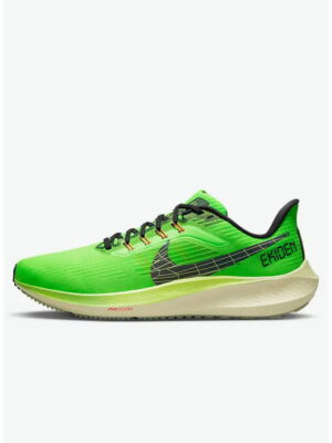 Кроссовки мужские Nike Pegasus 39 (DZ4776-343)