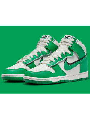 Кроссовки мужские Nike Double-Swoosh Dunk High Appears (DO9775-001)
