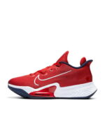 Кроссовки мужские Nike Air Zoom Bb Nxt (CK5707-600)