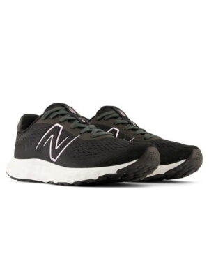 Кроссовки женские New Balance 520 V8 (W520LB8)