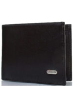 Мужской кожаный кошелек CANPELLINI